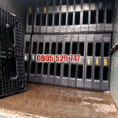 pallet nhựa cũ tại thủ đức