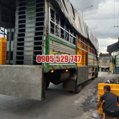 Pallet nhựa thanh lý
