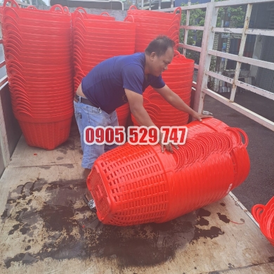 rổ nhựa bình dương