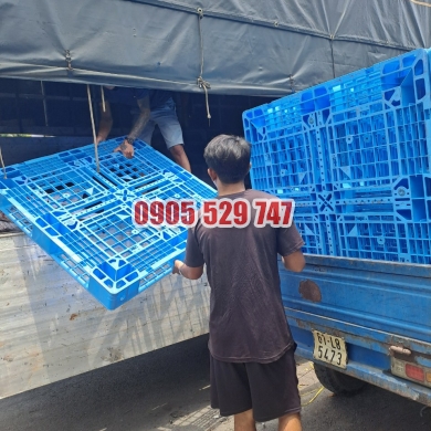 pallet nhựa mới 100% ở tphcm