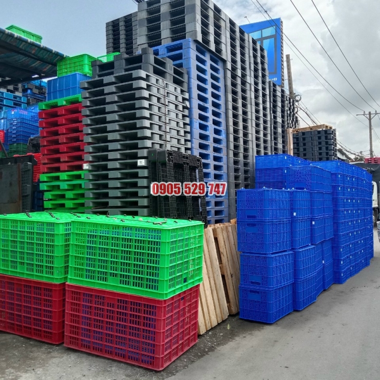 Pallet nhựa mới và cũ