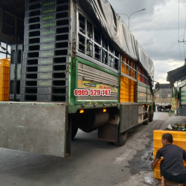 Pallet nhựa thanh lý