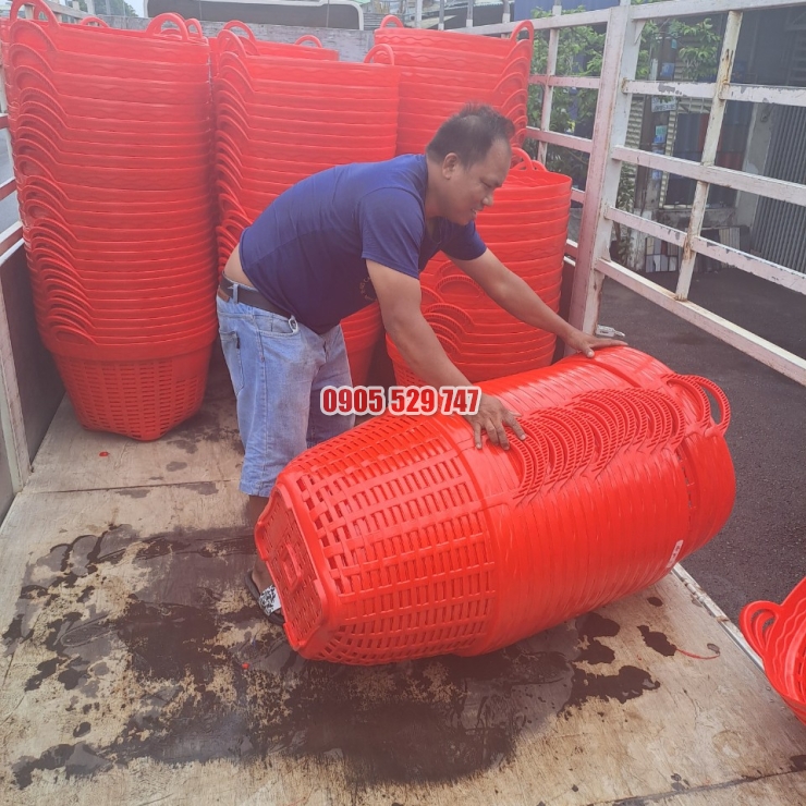 rổ nhựa bình dương