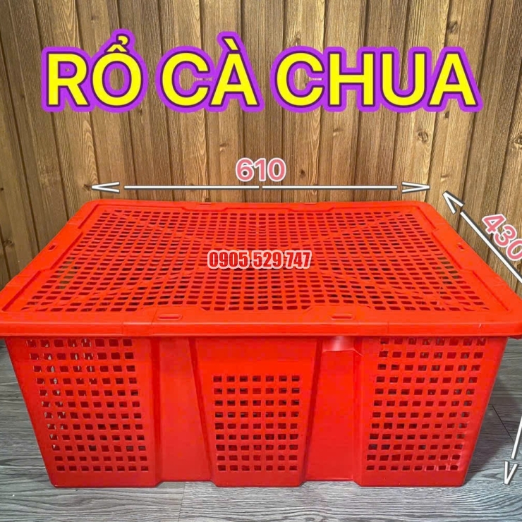 rổ nhựa đựng cà chua bình tân 